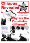 Chiapas Revealed
