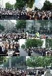 Downing Street Peace Vigil / Protest