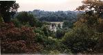 Lamberhurst bypass set to trash trees n land