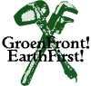 GreenFront! Greenwashers Strike Amsterdam High Streets