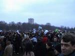 London Protest & English Bush (harmless)