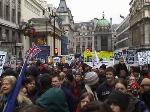 London Protest & English Bush (harmless)