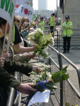 pic 3 - waiting to lay flowers