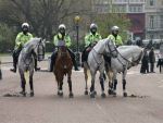 riot horses at hyde park