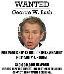 Bush Reward