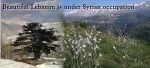 Lebanon under Syrian Occupation