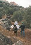 Palestinian farmer close to Ariel Israeli settlement
