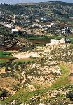 Palestinian Fields 2003