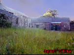 A view of the courtyard and some of the buildings out the back.