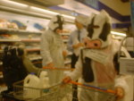 moooving down the dairy aisle