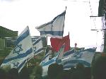 German "Antideutsche" marching pro Israel I