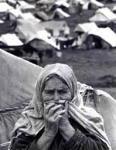 Old Woman From Deir Yassin Made Homeless By Zionist Aggression