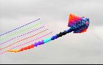 Kites - ray.jpg