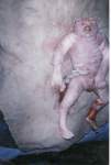 DEPLEATED URANIUM BABY