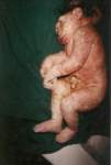 DEPLEATED URANIUM BABY