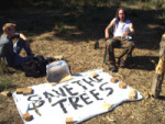 Save the Trees