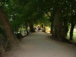 ...down the pleasant tree-lined avenue...