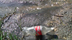 Ironic: Coca Cola and a river of shit!