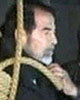 Saddam Noose