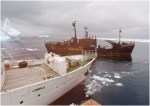 The Kaiku Maru (in foreground) approaches the Farley Mowat