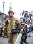 Climate chaos protester tops off tiger suit with St Martin's Spire headgear