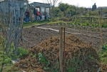 Manure and tidy beds