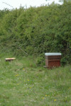 ... this is why. But if the trials go ahead, bee keepers will remove the boxes