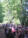 Crowds seeking cover from the forests