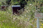 Hives about 300 metres (as the bee flys) from crop