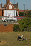 That tank drives past the Tidal Basin Tavern