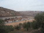 View on Abu Salim's land