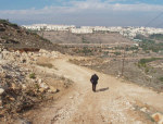 Abed Rabo on his way to his land, an Israeli settlement sits at the background