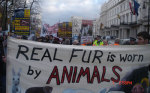 National Anti Fur March & Rally 2007