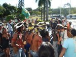 The Fight of the people of Cerrado