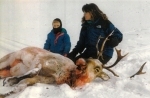 The arrow Palin shot into the nose of this moose was removed before the picture