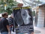 Puppy Killers!