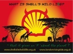 Shell Wild Lie from http://risingtide.org.uk/