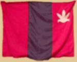 Parihaka Flag (above) - Commissioned for exhibition held at the Waikato Art Muse