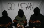 ACTIVISTS RESCUE 12 PULLETS FOR WORLD VEGAN DAY (New Zealand)