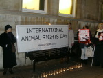 Animal Rights Cambridge - International Animal Rights Day
