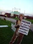 Honk if you are against animal cruelty
