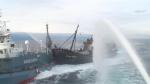 Yushin Maru 3 rammed by Sea Shepherd (Photo: ICR)