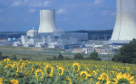 Areva Nuclear Plant and Sunflowers