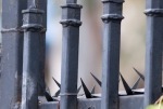 spiked fence at Scientology's desert compound. Photograph by cameranonymous.