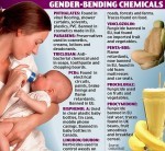 Gender-Bending Chemicals