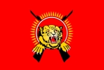 actual tamil eelam flag