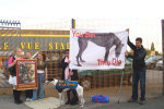 One of the weekly demonstrations now taking place outside Belle Vue Stadium