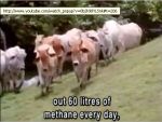 "UK livestock emissions ... 1.15 million tonnes of methane every year"