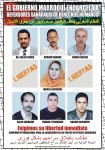 The seven Saharawi human rights activists