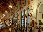 Hungary's Hunting Hall (Antlers Of Hundreds Of Animals)